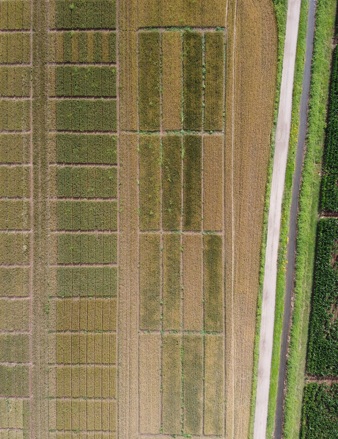 DJI_0262 https://frudur-0.it/wp-content/uploads/2020/07/DJI_0262-2.jpg