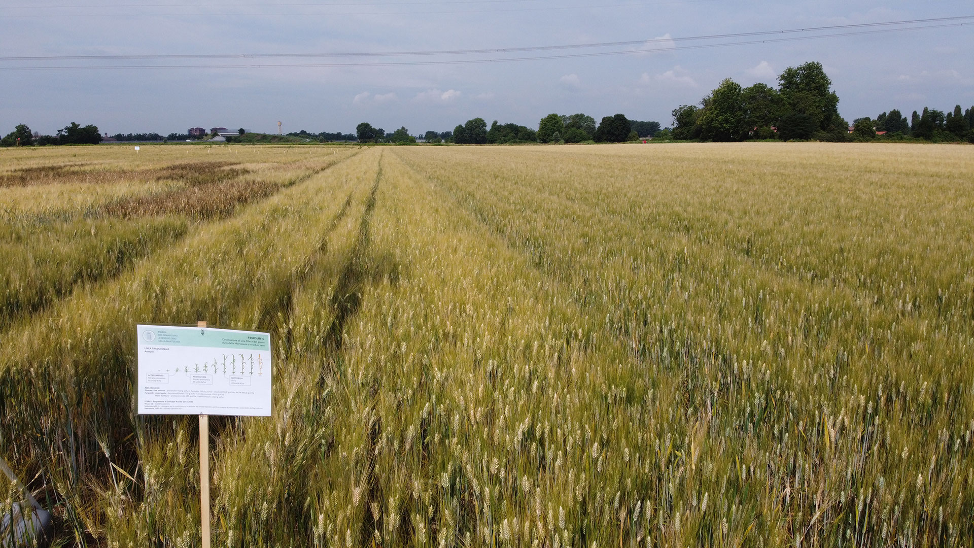 DJI_0284 https://frudur-0.it/wp-content/uploads/2020/07/DJI_0284.jpg